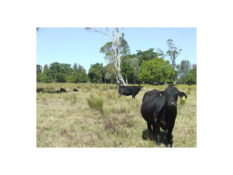 Rawdon Island NSW 2446