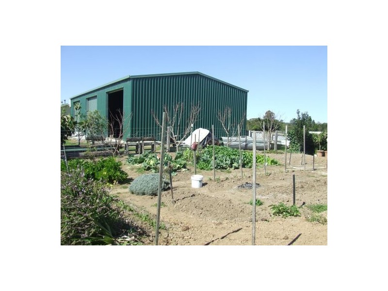 Rawdon Island NSW 2446