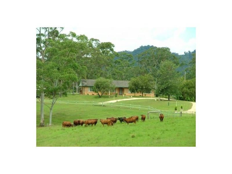 Rollands Plains NSW 2441