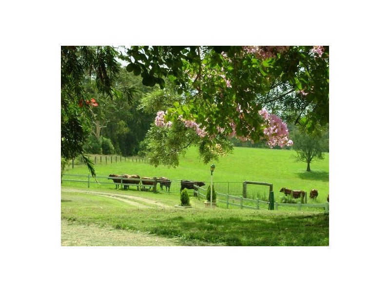 Rollands Plains NSW 2441