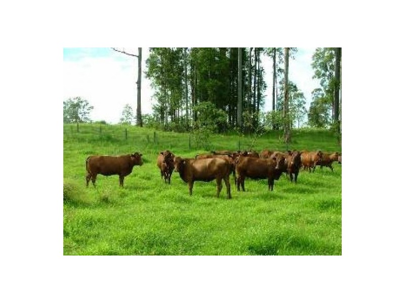 Rollands Plains NSW 2441