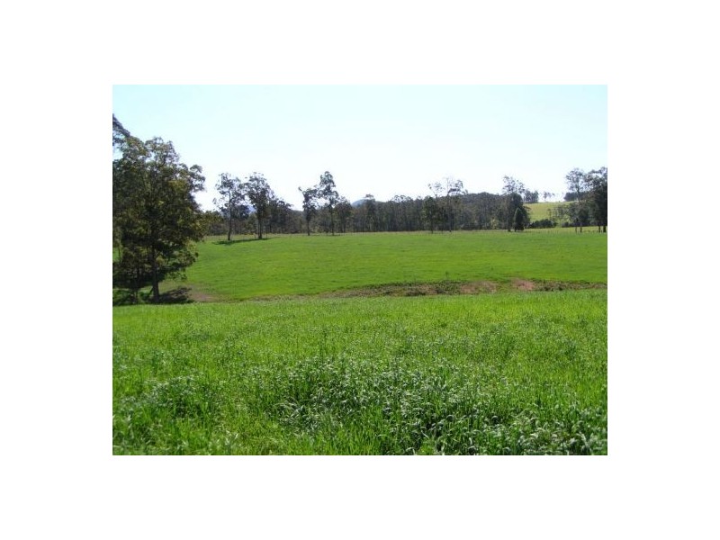 Rollands Plains NSW 2441