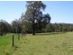 Rollands Plains NSW 2441