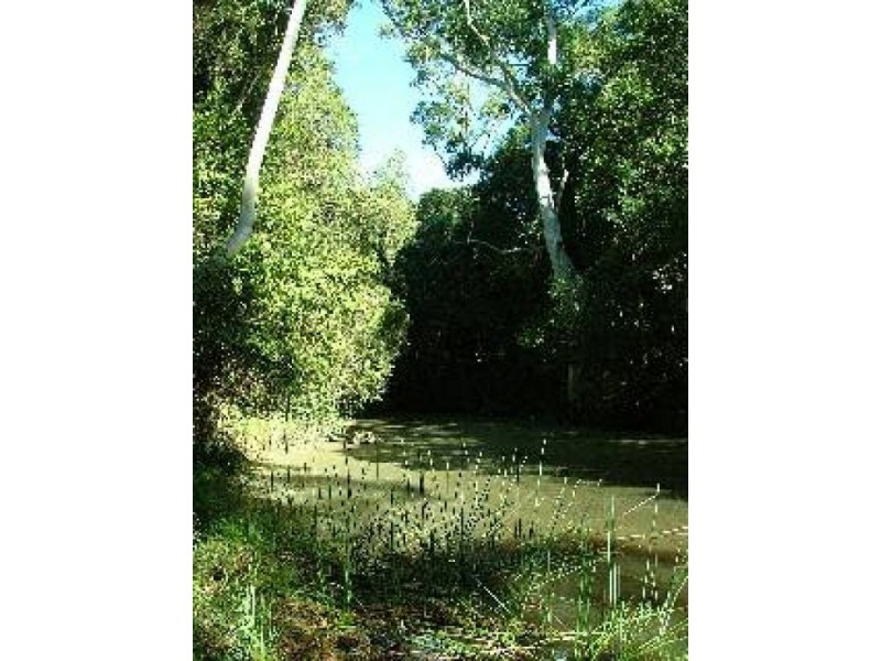 Rollands Plains NSW 2441