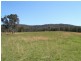 Kundabung NSW 2441