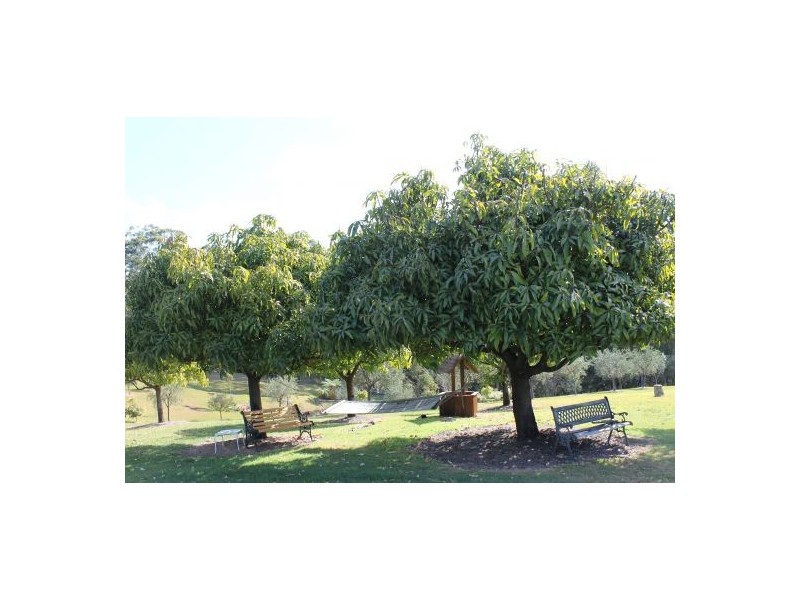 Telegraph Point NSW 2441