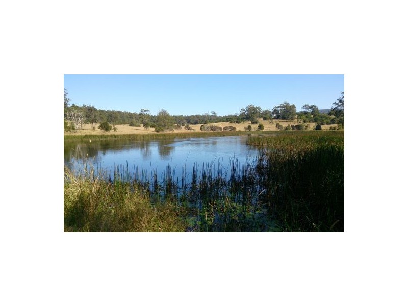Herons Creek NSW 2443