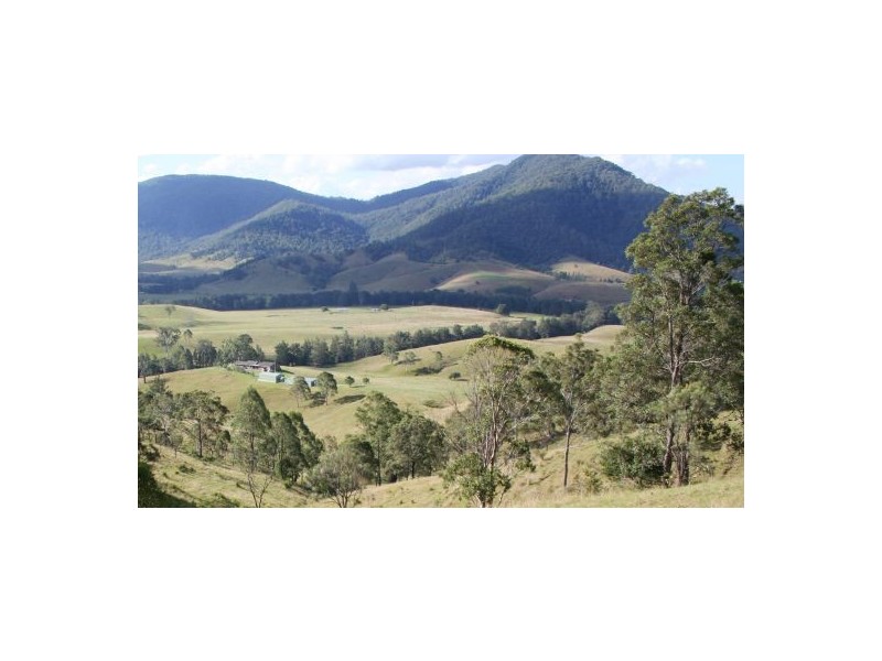 Mount Seaview NSW 2446