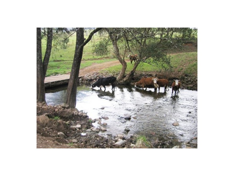 Mount Seaview NSW 2446