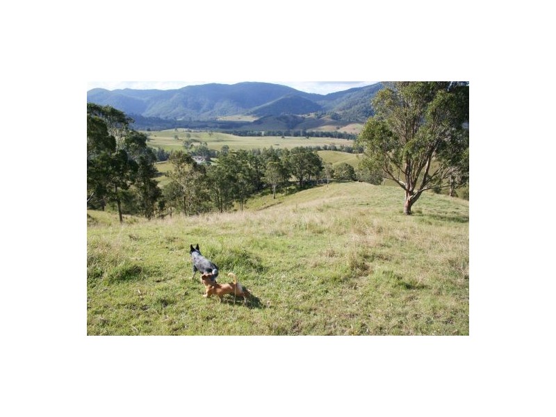 Mount Seaview NSW 2446