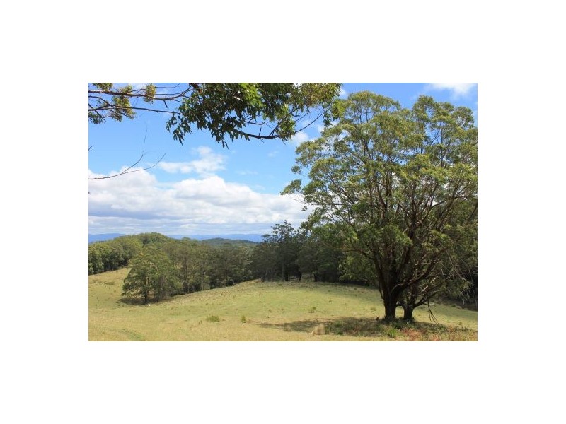Lots 150 & 185 Ponsfords Road, Comboyne NSW 2429