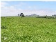 Comboyne NSW 2429