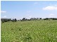 Comboyne NSW 2429