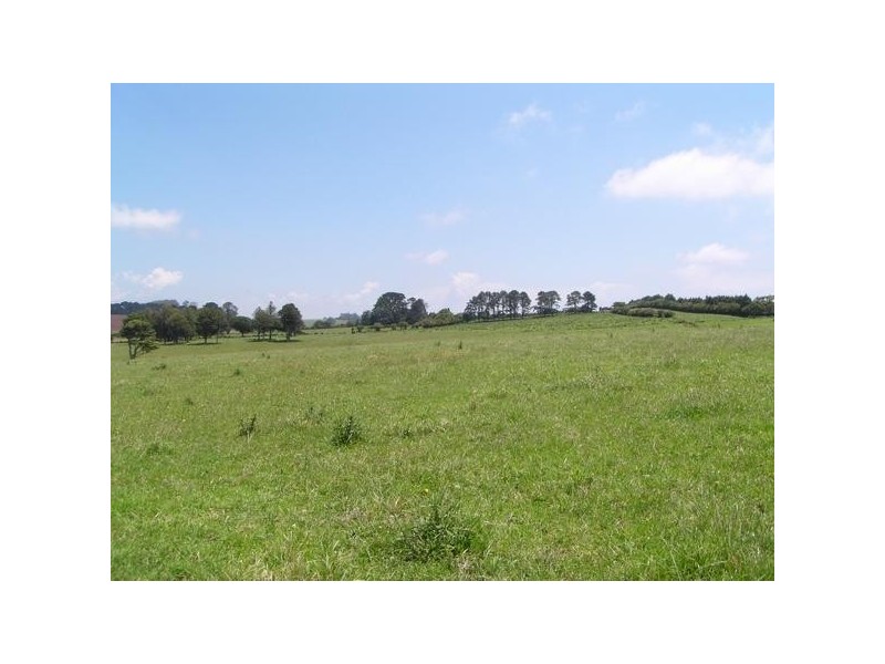Comboyne NSW 2429