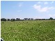 Comboyne NSW 2429