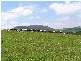 Comboyne NSW 2429