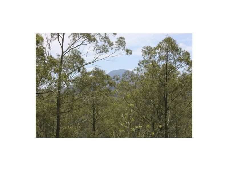 Hickeys Creek NSW 2440