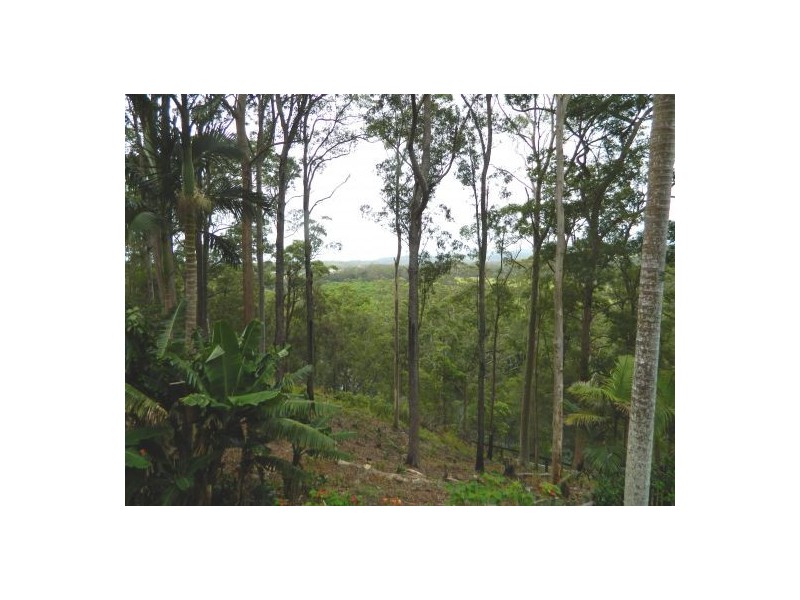 Telegraph Point NSW 2441