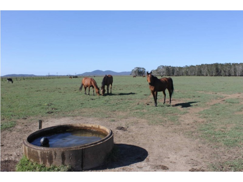 Verges Creek NSW 2440