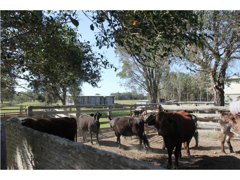 Verges Creek NSW 2440