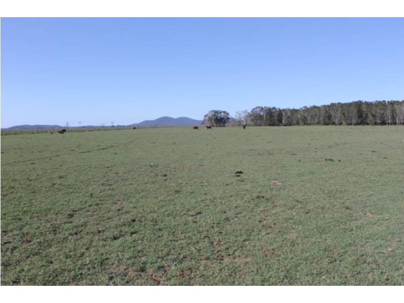 Verges Creek NSW 2440