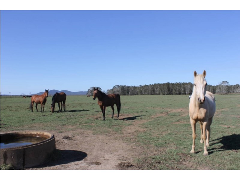 Verges Creek NSW 2440