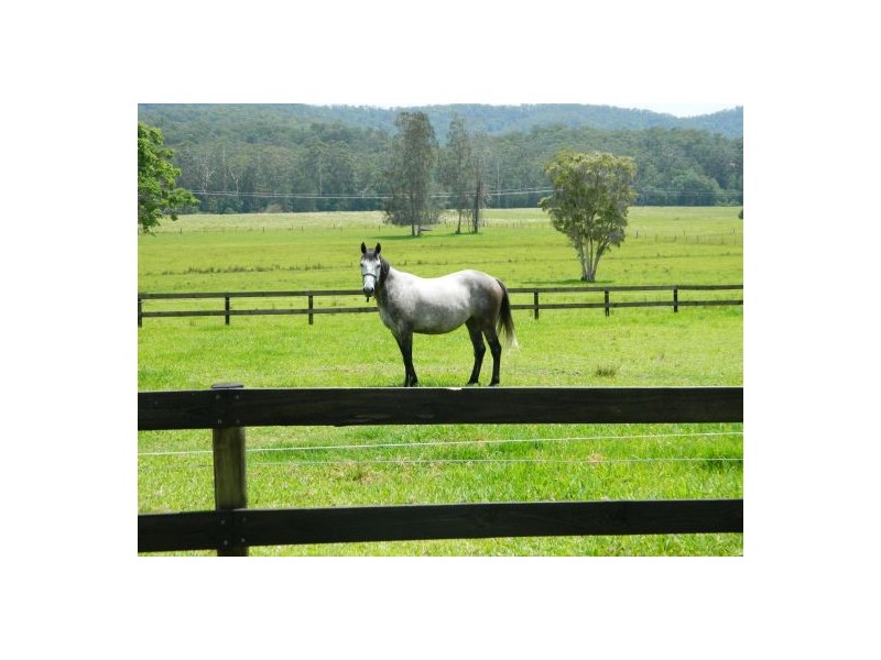 Telegraph Point NSW 2441