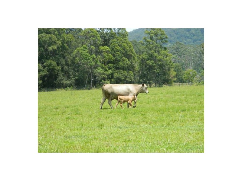 Telegraph Point NSW 2441