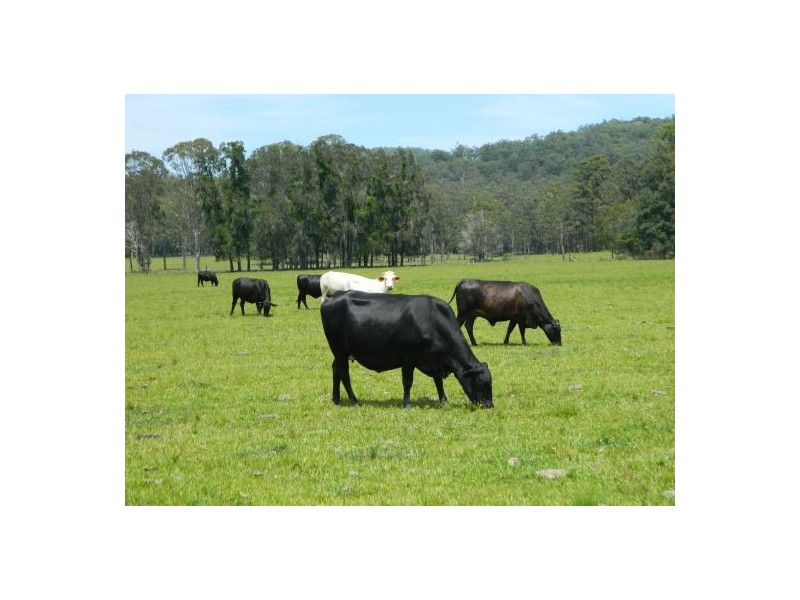 Telegraph Point NSW 2441