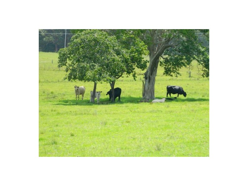 Telegraph Point NSW 2441