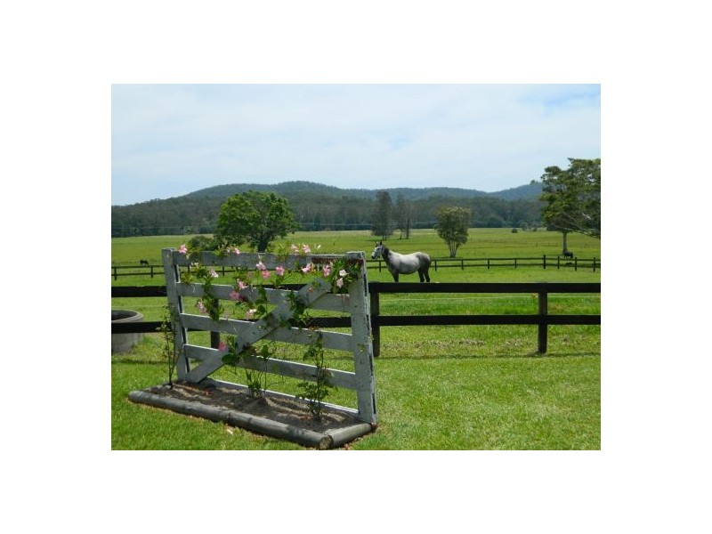 Telegraph Point NSW 2441