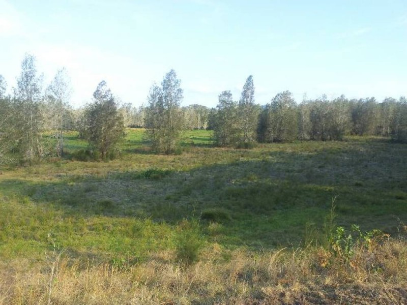 Belmore River NSW 2440