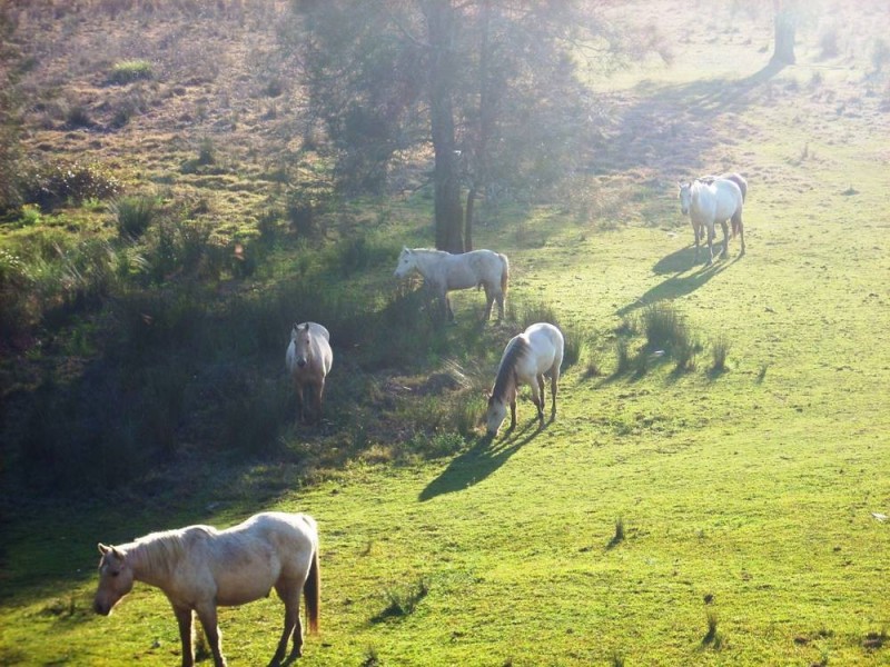 Belmore River NSW 2440