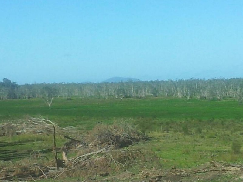 Belmore River NSW 2440