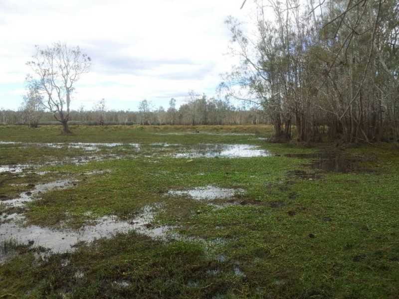 Belmore River NSW 2440