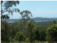 Lake Innes NSW 2446