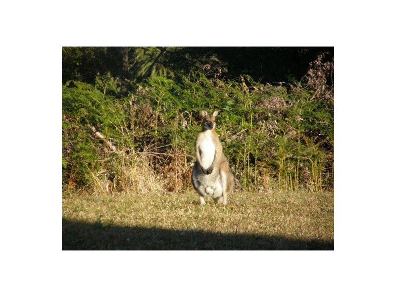 Port Macquarie NSW 2444