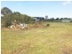 278 Eighth Avenue, Llandilo NSW 2747
