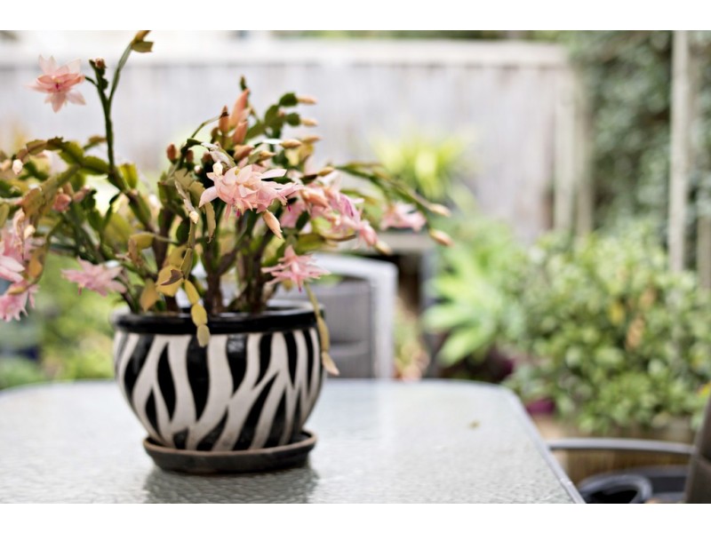 9/154 Maxwell Street, South Penrith NSW 2750