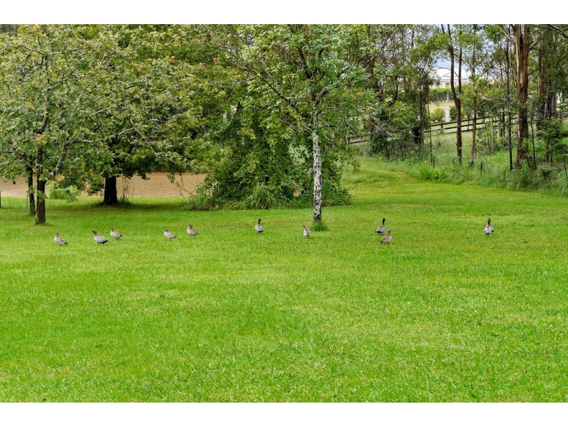 51 Park River Close, Mulgoa NSW 2745