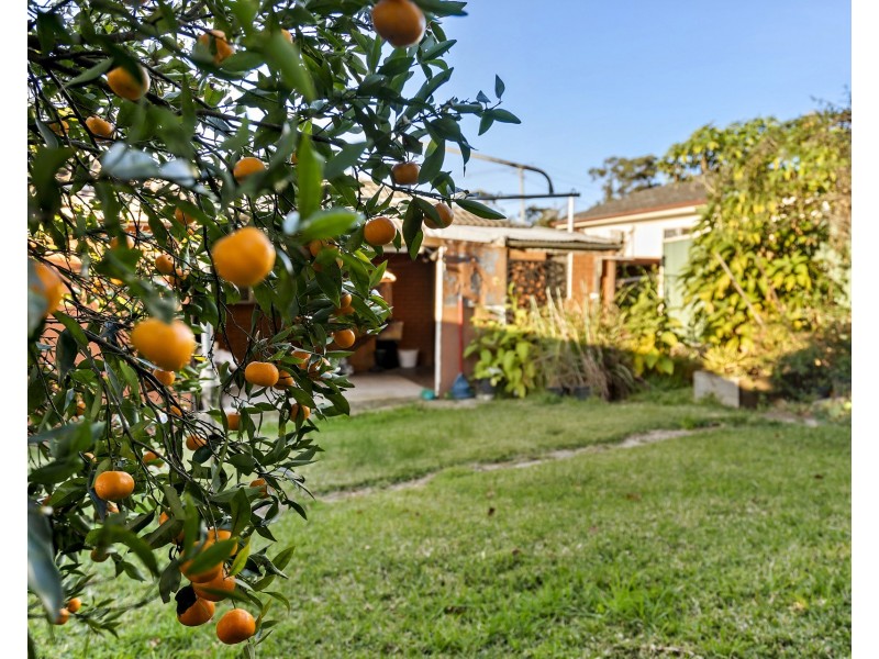 8 Leighton Street, Rooty Hill NSW 2766