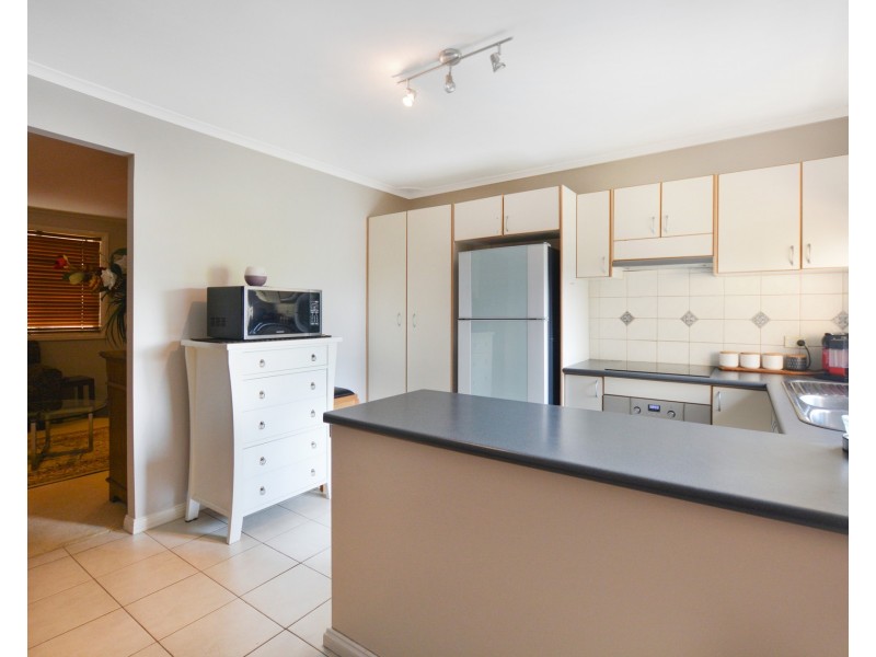 16 Brougham Street, Emu Plains NSW 2750