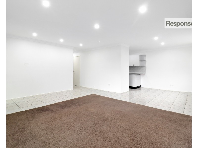 55 Alpine Circuit, St Clair NSW 2759