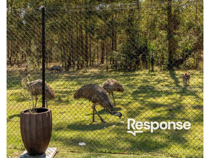 105 Newham Drive, Cambridge Gardens NSW 2747
