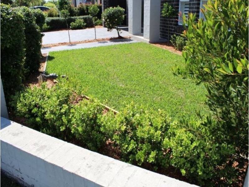 11 Wedgebill Place, Cranebrook NSW 2749