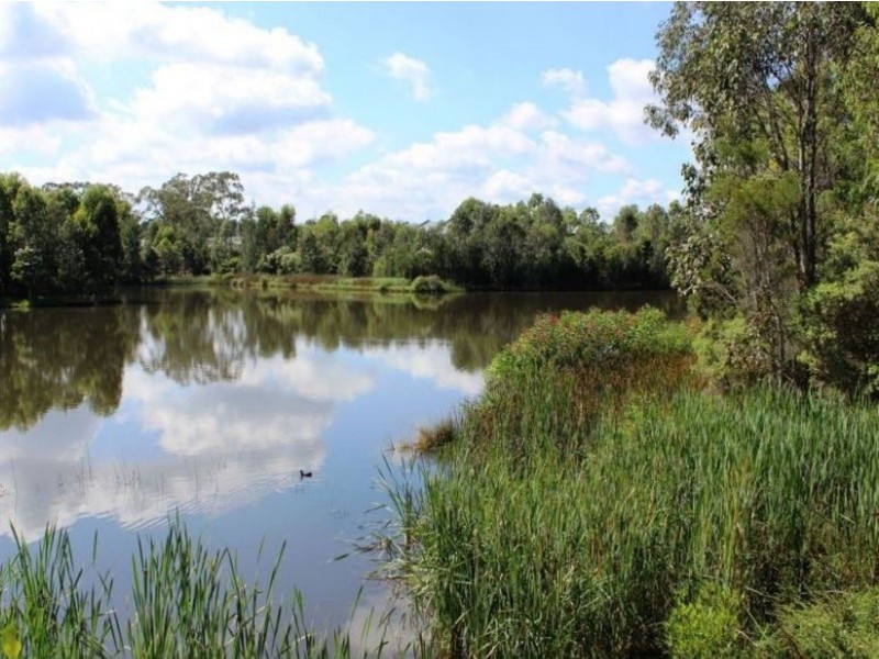 11 Wedgebill Place, Cranebrook NSW 2749