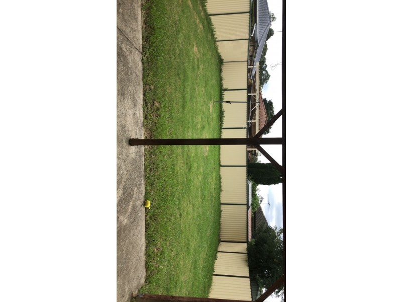 113 Sunflower Drive, Claremont Meadows NSW 2747