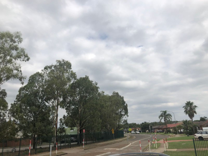 113 Sunflower Drive, Claremont Meadows NSW 2747