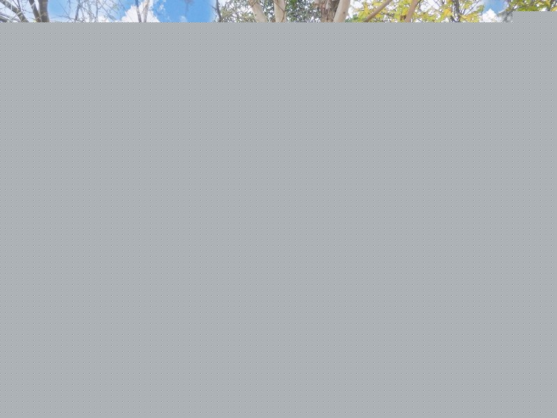 11/158 Great Western Highway, Kingswood NSW 2747