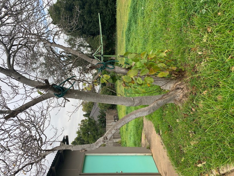 14 Rodgers Street, Kingswood NSW 2747